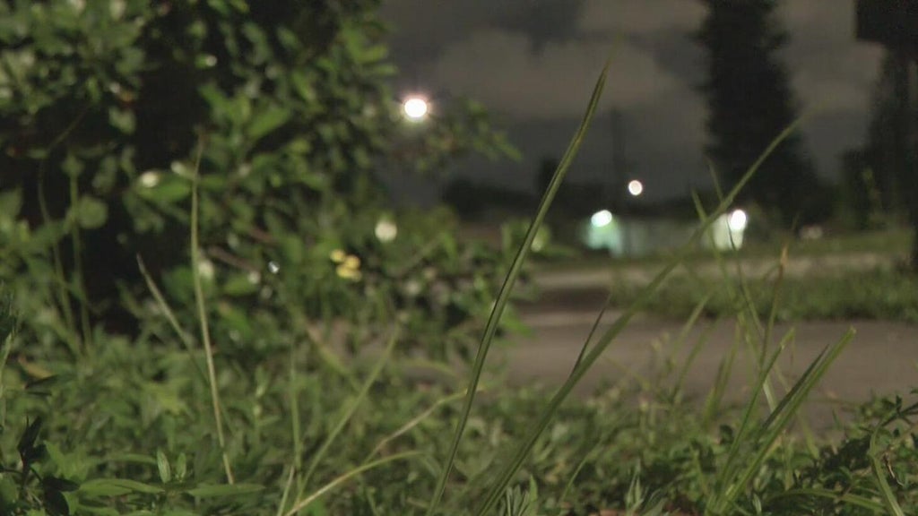 Broward mother says she went months without update after reporting man outside her window — CBS Miami, Sydney Real Estate news
