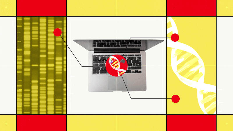 Hugging Face’s New AI Biology Model Lets You Chat With DNA — Wired, Sydney Technology news